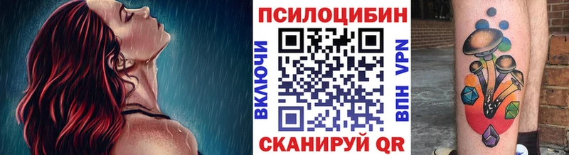 купить   Демидов  KRAKEN онион  Галлюциногенные грибы мухоморы 