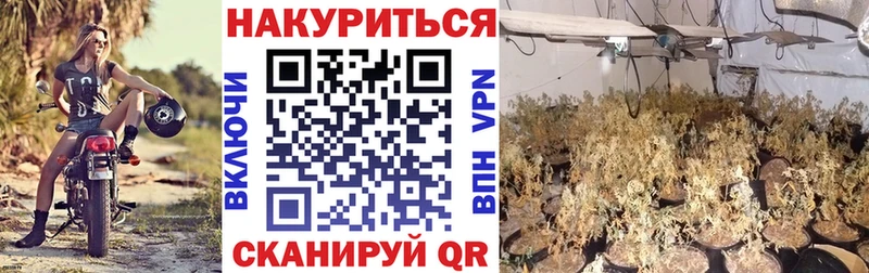 Бошки Шишки MAZAR  где купить наркоту  ссылка на мегу онион  Демидов 